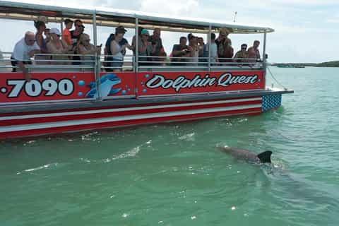 Book a Boat Tour if the Timing Feels Right