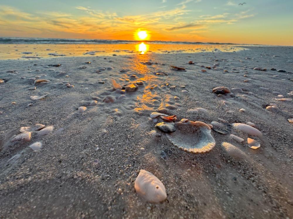 Save Sunset for the Gulf