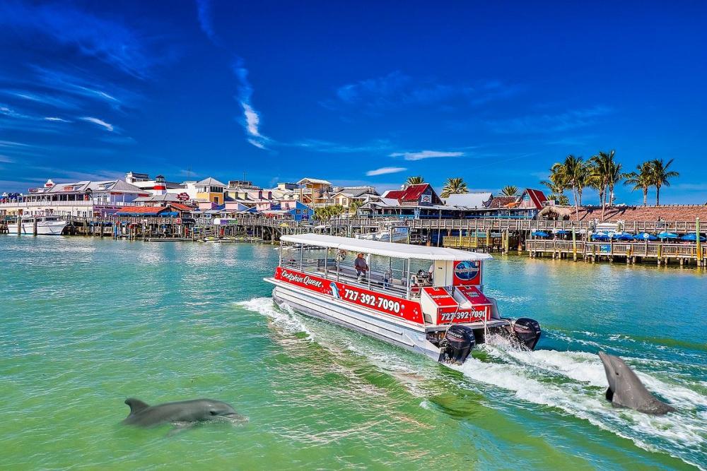 Dolphin cruises keep the plan approachable