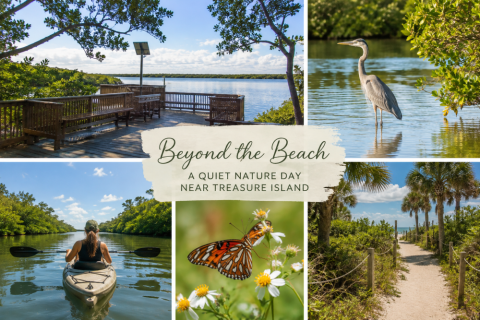 Beyond the Beach: A Quiet Nature Day Near Treasure Island